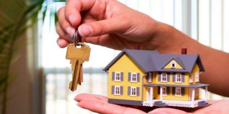 شركات التأجير التمويلي تُبرم 416 عقداً بقيمة 10.6 مليار جنيه (انفوجراف)