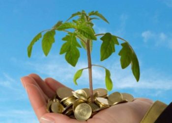 “تساهيل” تقتنص أول رخصة لمزاولة نشاط تمويل “المتوسطة والصغيرة”