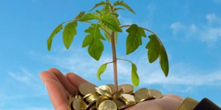 “تساهيل” تقتنص أول رخصة لمزاولة نشاط تمويل “المتوسطة والصغيرة”