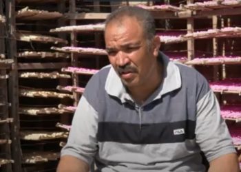 محمد السيد خطاب يروي قصته مع قرض ” تنمية “( فيديو )