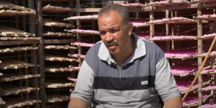 محمد السيد خطاب يروي قصته مع قرض ” تنمية “( فيديو )