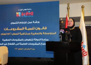 نيفين جامع: جهاز تنمية المشروعات بدأ في توفيق أوضاع القطاع غير الرسمي