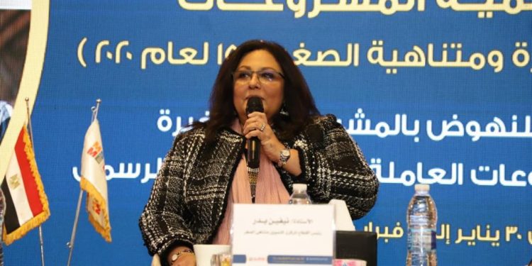 جهاز المشروعات يضخ ملياري جنيه في الصعيد خلال 2021