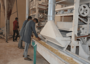 تعرف على قصة نجاح مصنع الملكة بالفيوم مع المنحة السعودية