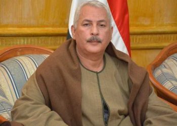 نقيب الفلاحين : “ياريت الناس تحشي البط والفراخ أرز بلاش فريك “