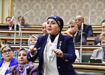 وكيل لجنة المشروعات الصغيرة بمجلس النواب : قرار المركزي رفع الفائدة 2% أمر طبيعي