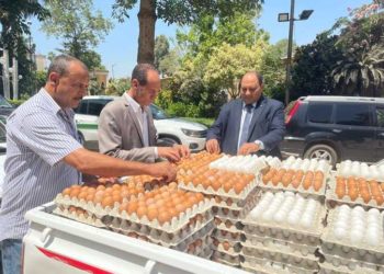 وزارة الزراعة تطرح كرتونة البيض بسعر 62 جنيهًا بمنافذها الثابتة والمتحركة