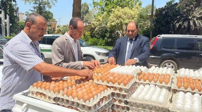 وزارة الزراعة تطرح كرتونة البيض بسعر 62 جنيهًا بمنافذها الثابتة والمتحركة