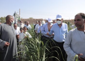 تفاصيل برنامج ” مشروعك بإيدك ” الذي طرحه البنك الزراعي بمناسبة عيد الفلاح