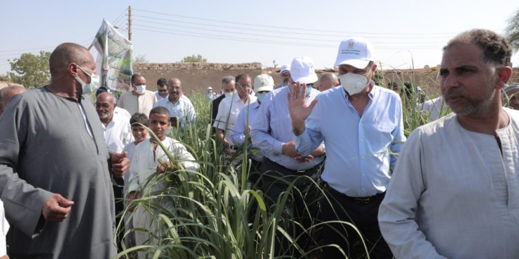 تفاصيل برنامج ” مشروعك بإيدك ” الذي طرحه البنك الزراعي بمناسبة عيد الفلاح