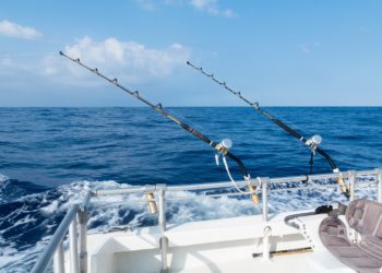 محافظ البحر الأحمر : 5 كيلو الحد الأقصى للفرد الواحد من الصيادين الهواة في اليوم (فيديو)