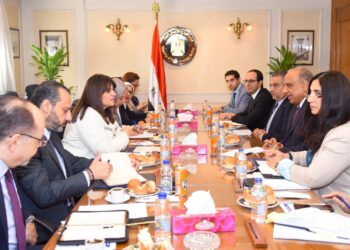 وزير قطاع الأعمال يبحث تحفيز المصريين بالخارج للاستثمار بالشركات التابعة