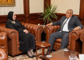 مجمع مميكن لجهاز المشروعات بمحافظة الوادي الجديد لدعم وتمويل المشروعات الصغيرة