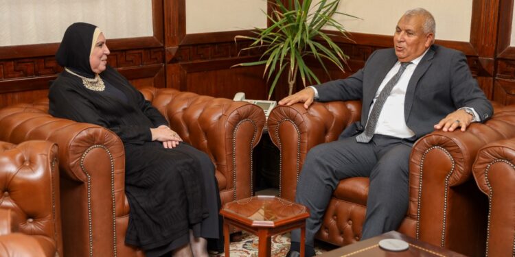 مجمع مميكن لجهاز المشروعات بمحافظة الوادي الجديد لدعم وتمويل المشروعات الصغيرة