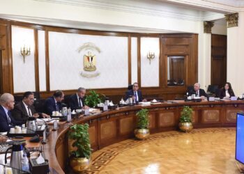 مصر تُفرج عن بضائع بنحو 300 مليون دولار تشمل سلع غذائية وزيوت وبقوليات ولحوم وأعلاف