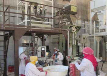 شباب جهاز المشروعات يساهمون في توفير السلع الغذائية في كافة المحافظات