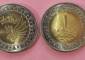 وزارة المالية تطرح 3 ملايين جنيه عملات معدنية تحمل شعار عيد الشرطة