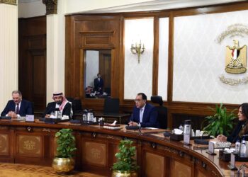 رئيس الشركة : “المراعي” تستحوذ على 27% من منتجي الألبان والعصائر في مصر