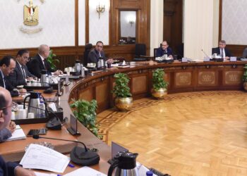 رئيس الوزراء : ضوابط لعودة توفير الأراضى بنظام المُطوّر الصناعي