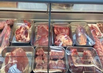 وزارة التموين تعلن أسعار اللحوم المجمدة في معارض «أهلا رمضان»