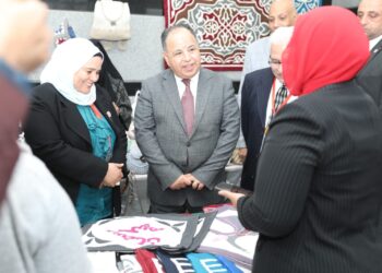 وزير المالية : تحفيز المشروعات الصغيرة ومتناهية الصغر ركيزة أساسية للتنمية الاقتصادية