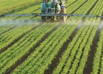 النشاط الزراعي الأكثر استحواذاً على تمويلات منتج “النانو فاينانس”