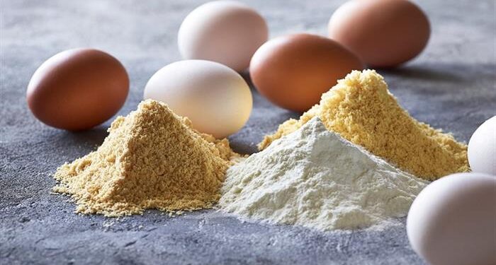 هل طرحت الحكومة “بيض البودرة” في الأسواق ؟