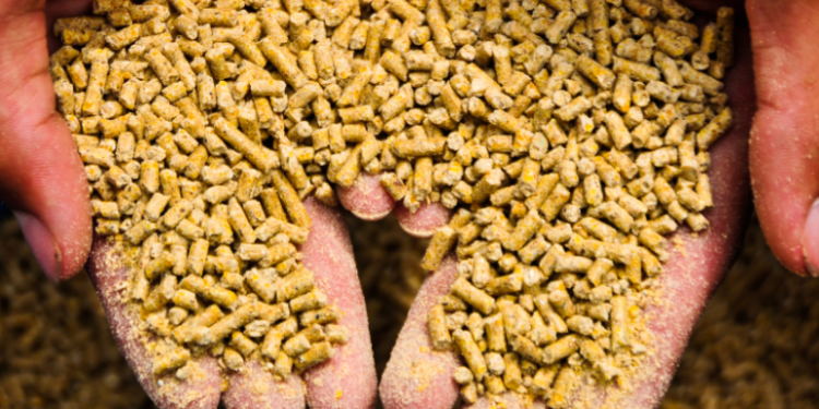 أسعار الأعلاف ترتفع من جديد