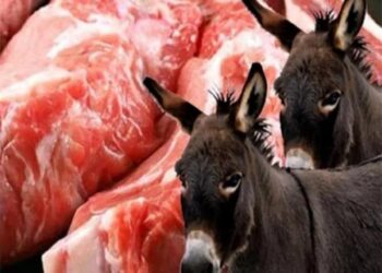 ما هي الحقيقة وراء فيديو بيع لحم الحمير في أشهر مطاعم مصر ؟