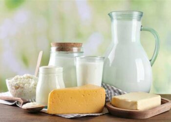 تراجع أسعار الفول والأرز وارتفاع اللبن السائب