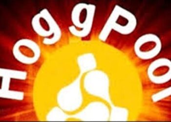 تعرف على منصة «هوج بول» التى استولت على مليارات الجنيهات من المصريين