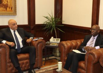 جهاز المشروعات يبحث سبل التعاون المشترك مع بنك التنمية الأفريقي