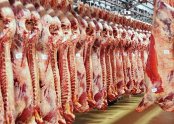 “التموين” توفر 37 ذبيحة سودانية بفروع “النيل للمجمعات الاستهلاكية”