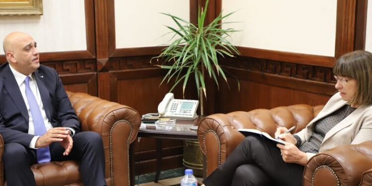 هيئة الأمم المتحدة تتعاون مع جهاز المشروعات لتطوير المشروعات الصغيرة في مصر