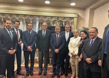 «المصريين الأفارقة» تبحث سبل تعزيز التعاون المشترك مع لجنة المشروعات الصغيرة بالبرلمان