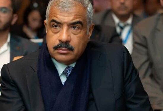 «أيكون» التابعة لمجموعة طلعت مصطفي تسعي للاستحواذ على حصة مؤثرة بفنادق حكومية