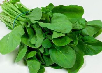 وزارة الزراعة تنصح المواطنين بتناول ” الجرجير ” لمواجهة الموجة الحارة