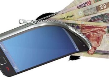 تعرف علي الخدمات التي تقدمها محافظ الهاتف المحمول