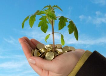 القائمة الكاملة لشركات متناهية الصغر التي تمنح التمويل لـ “الصغيرة والمتوسطة ” في مصر