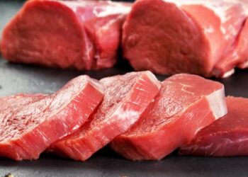 وزير الزراعة يوافق على تمويل جديد لمشروع البتلو بـ 235 مليون جنيه