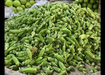 تحذير رسمي من السعودية من منتج “بامية” مصري يحتوي على حشرات