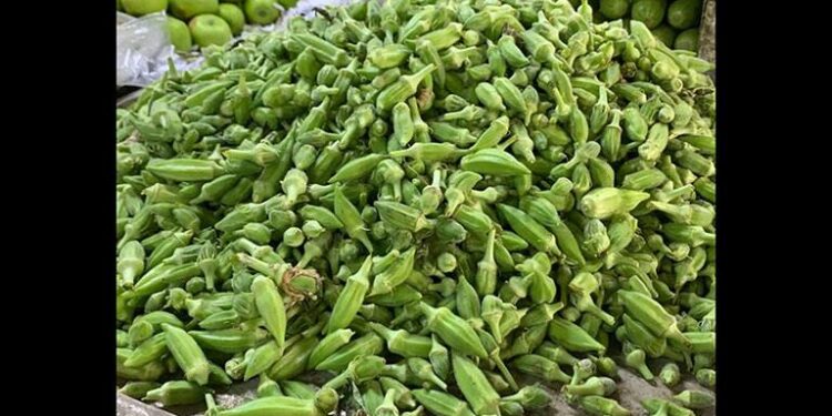 تحذير رسمي من السعودية من منتج “بامية” مصري يحتوي على حشرات