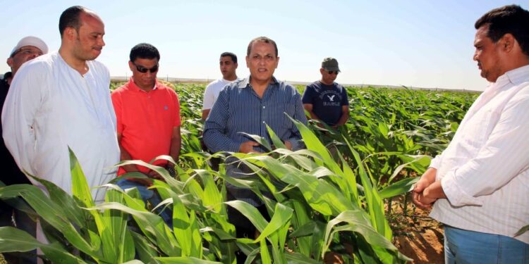 عمرو عبد الوهاب : سنقدم المزيد من الدعم والخدمات لفلاحى ومزارعى مشروع الـ ١.٥ مليون فدان