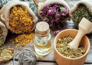 مصر تحتل المركز الرابع عالمياً في تصدير الأدوية العشبية لعام 2022