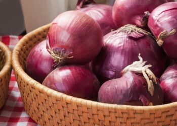 وزارة الصناعة : قرار حظر تصدير البصل سيدخل حيز النفاذ اعتباراً من مطلع أكتوبر المقبل