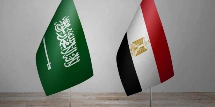 مصر والسعودية تبحثان إمكانية استخدام العملات المحلية في التجارة