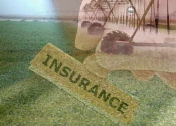 أقساط التأمين الزراعي فى افريقيا تسجل حوالى 300 مليون دولار فى 2020