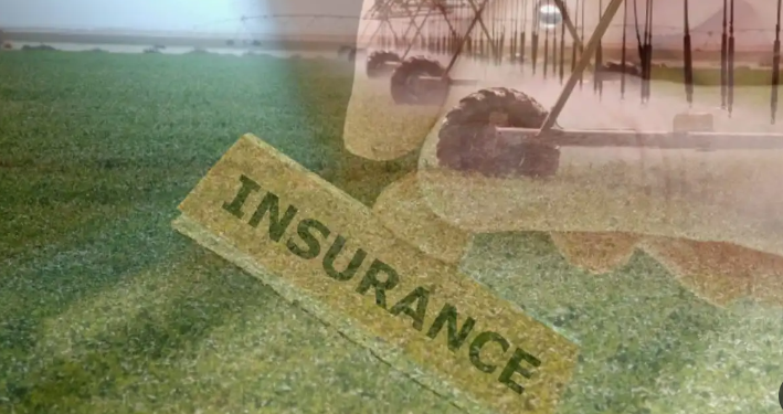 أقساط التأمين الزراعي فى افريقيا تسجل حوالى 300 مليون دولار فى 2020