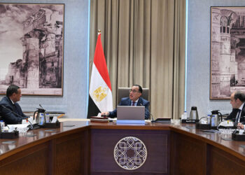 الحكومة تُقنن أوضاع 71% من الورش والمصانع بمنطقة شق الثعبان