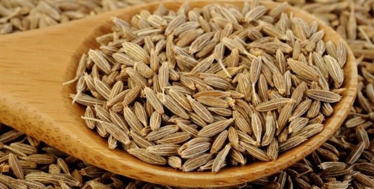 علي رأسها “الكمون” … ارتفاع قياسي لأسعار التوابل